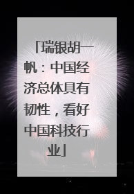 瑞银胡一帆：中国经济总体具有韧性，看好中国科技行业