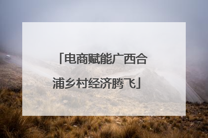 电商赋能广西合浦乡村经济腾飞