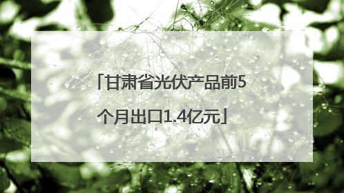 甘肃省光伏产品前5个月出口1.4亿元
