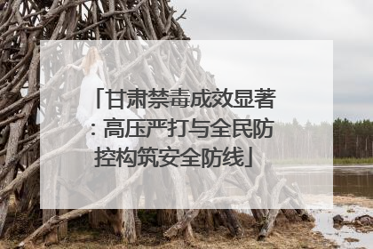 甘肃禁毒成效显著：高压严打与全民防控构筑安全防线