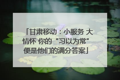 甘肃移动：小服务 大情怀 你的“习以为常”便是他们的满分答案