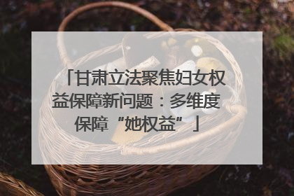 甘肃立法聚焦妇女权益保障新问题：多维度保障“她权益”