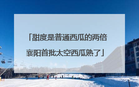 甜度是普通西瓜的两倍 襄阳首批太空西瓜熟了