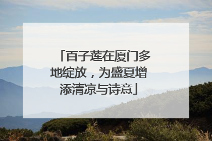 百子莲在厦门多地绽放，为盛夏增添清凉与诗意
