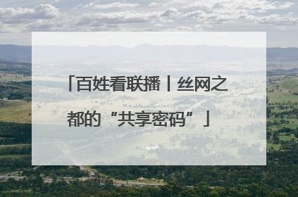百姓看联播丨丝网之都的“共享密码”