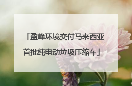 盈峰环境交付马来西亚首批纯电动垃圾压缩车
