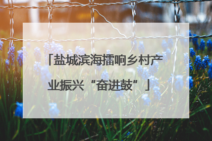 盐城滨海擂响乡村产业振兴“奋进鼓”