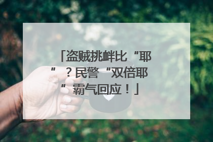 盗贼挑衅比“耶”？民警“双倍耶”霸气回应！