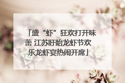 盛“虾”狂欢打开味蕾 江苏盱眙龙虾节欢乐龙虾宴热闹开席