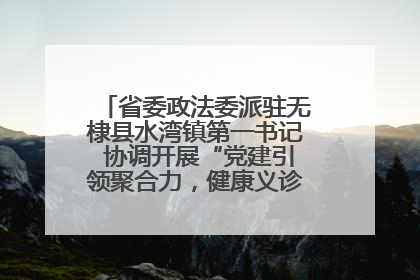 省委政法委派驻无棣县水湾镇第一书记 协调开展“党建引领聚合力,健康义诊惠乡亲”义诊活动