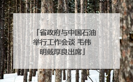 省政府与中国石油举行工作会谈 毛伟明戴厚良出席