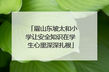 眉山东坡太和小学让安全知识在学生心里深深扎根