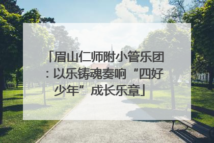 眉山仁师附小管乐团：以乐铸魂奏响“四好少年”成长乐章