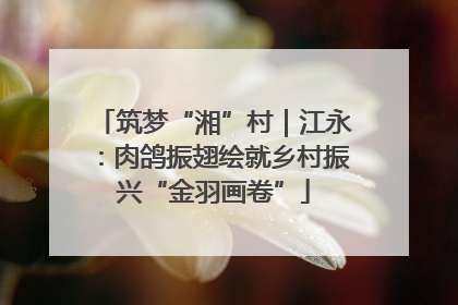 筑梦“湘”村｜江永：肉鸽振翅绘就乡村振兴“金羽画卷”