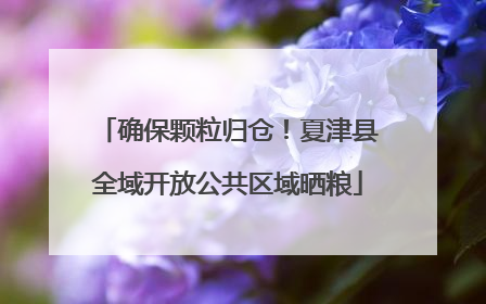 确保颗粒归仓！夏津县全域开放公共区域晒粮