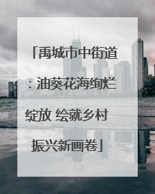 禹城市中街道：油葵花海绚烂绽放 绘就乡村振兴新画卷