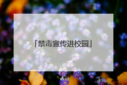 禁毒宣传进校园