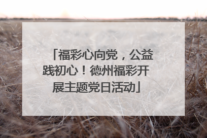福彩心向党，公益践初心！德州福彩开展主题党日活动