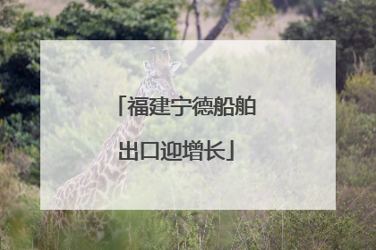福建宁德船舶出口迎增长
