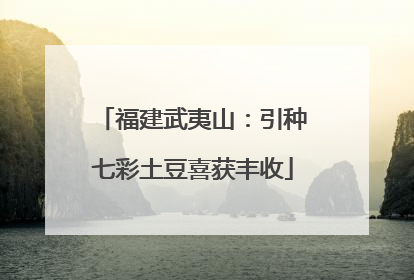 福建武夷山：引种七彩土豆喜获丰收