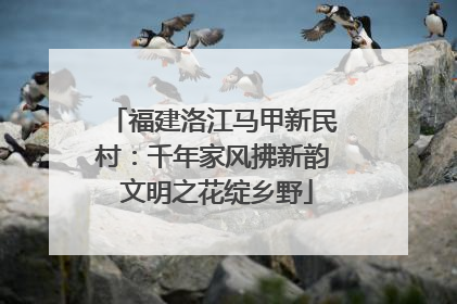 福建洛江马甲新民村：千年家风拂新韵 文明之花绽乡野