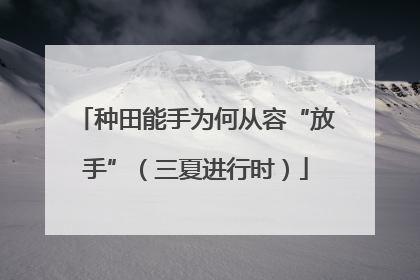 种田能手为何从容“放手”（三夏进行时）