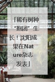稀有树种“抱团”生长！沈阳成果在Nature杂志发表