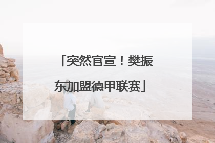 突然官宣！樊振东加盟德甲联赛
