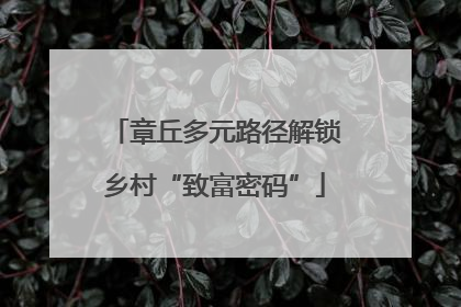 章丘多元路径解锁乡村“致富密码”
