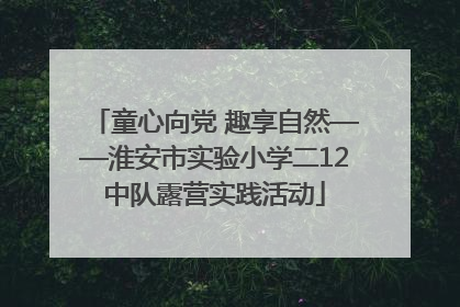童心向党 趣享自然——淮安市实验小学二12中队露营实践活动