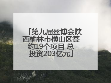 第九届丝博会陕西榆林市横山区签约19个项目 总投资203亿元