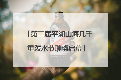 第二届平湖山海几千重泼水节璀璨启幕