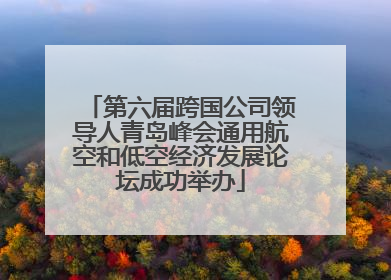 第六届跨国公司领导人青岛峰会通用航空和低空经济发展论坛成功举办