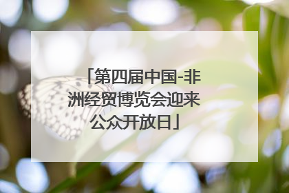 第四届中国-非洲经贸博览会迎来公众开放日