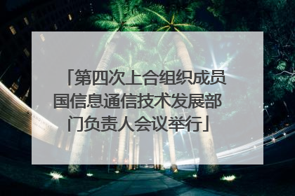 第四次上合组织成员国信息通信技术发展部门负责人会议举行