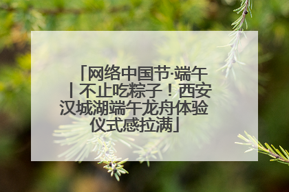 网络中国节·端午丨不止吃粽子！西安汉城湖端午龙舟体验仪式感拉满