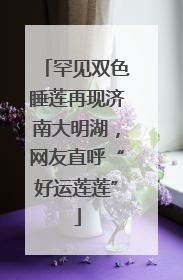 罕见双色睡莲再现济南大明湖，网友直呼“好运莲莲”