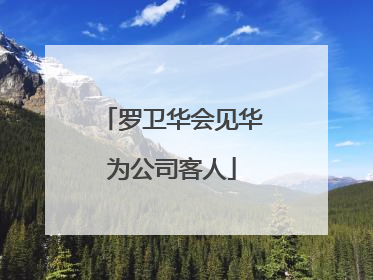 罗卫华会见华为公司客人
