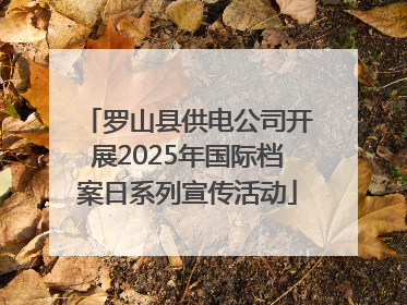 罗山县供电公司开展2025年国际档案日系列宣传活动