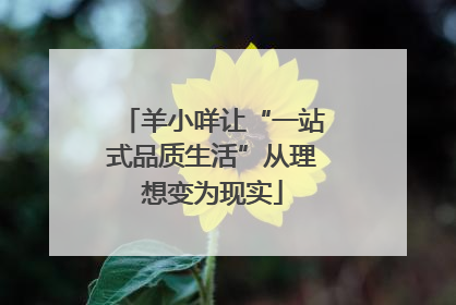 羊小咩让“一站式品质生活”从理想变为现实