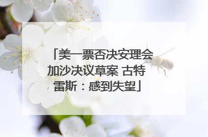美一票否决安理会加沙决议草案 古特雷斯：感到失望