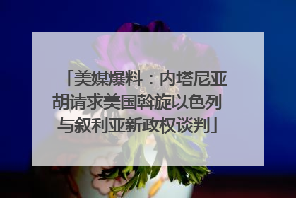 美媒爆料：内塔尼亚胡请求美国斡旋以色列与叙利亚新政权谈判