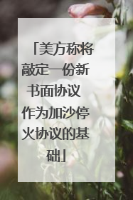 美方称将敲定一份新书面协议 作为加沙停火协议的基础