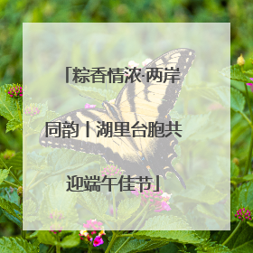 粽香情浓·两岸同韵丨湖里台胞共迎端午佳节