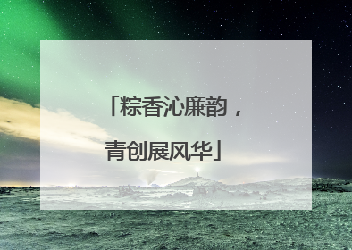粽香沁廉韵，青创展风华