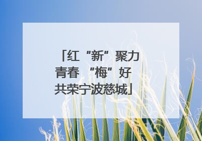 红“新”聚力青春 “梅”好共荣宁波慈城