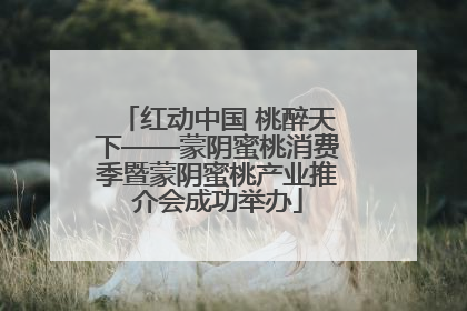 红动中国 桃醉天下——蒙阴蜜桃消费季暨蒙阴蜜桃产业推介会成功举办