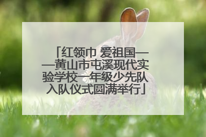 红领巾 爱祖国——黄山市屯溪现代实验学校一年级少先队入队仪式圆满举行