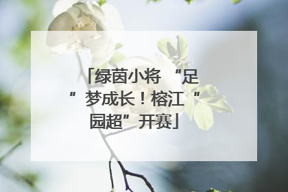 绿茵小将 “足”梦成长！榕江“园超”开赛