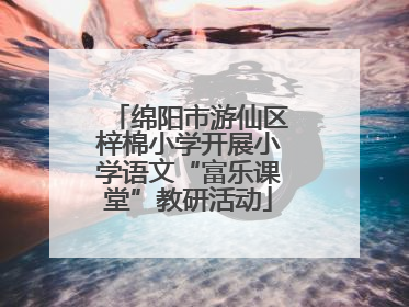 绵阳市游仙区梓棉小学开展小学语文“富乐课堂”教研活动